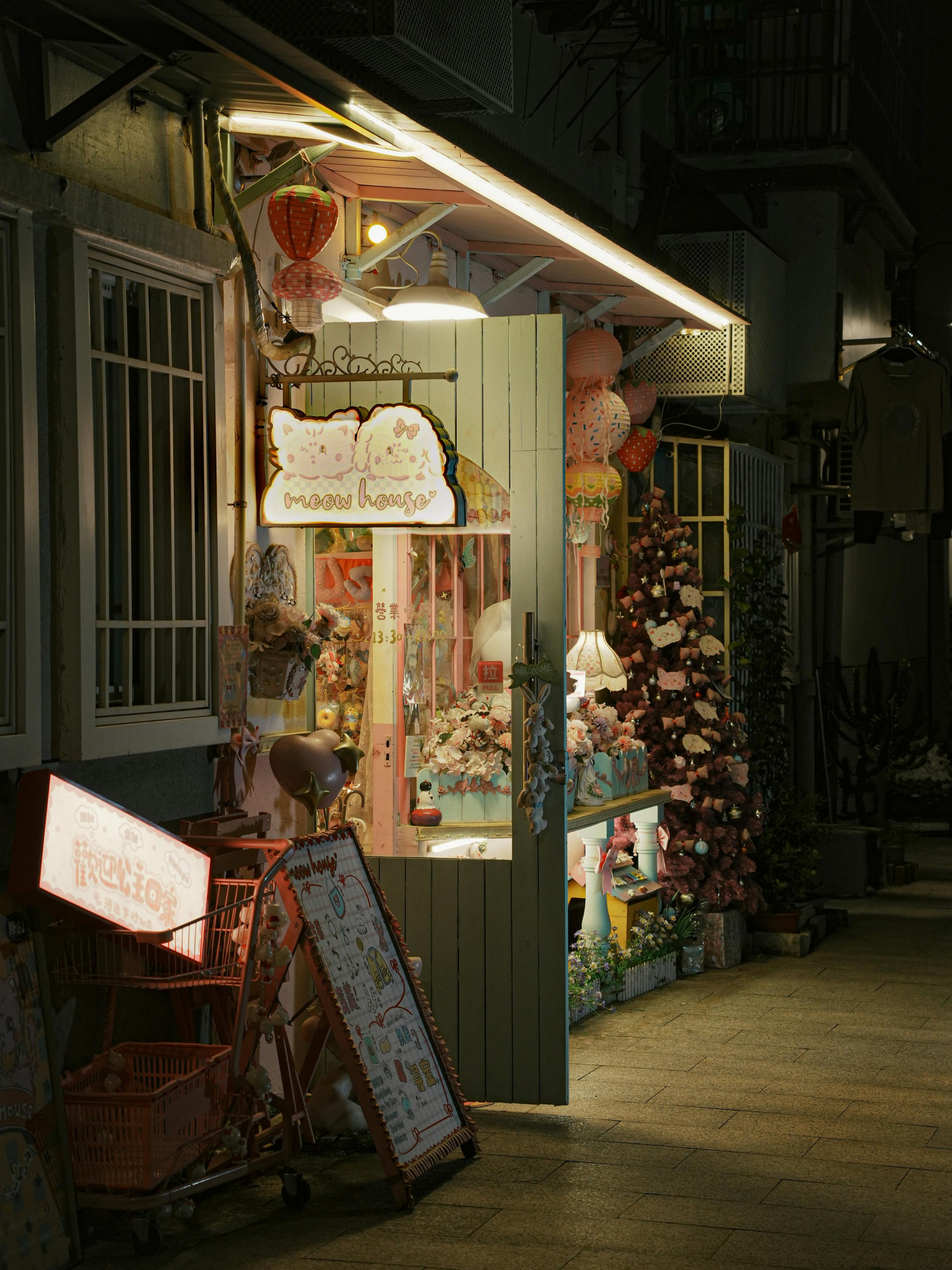 当高原红遇上湖湘暖 湖南高校教师搭起西藏学生成长桥 - 图片1