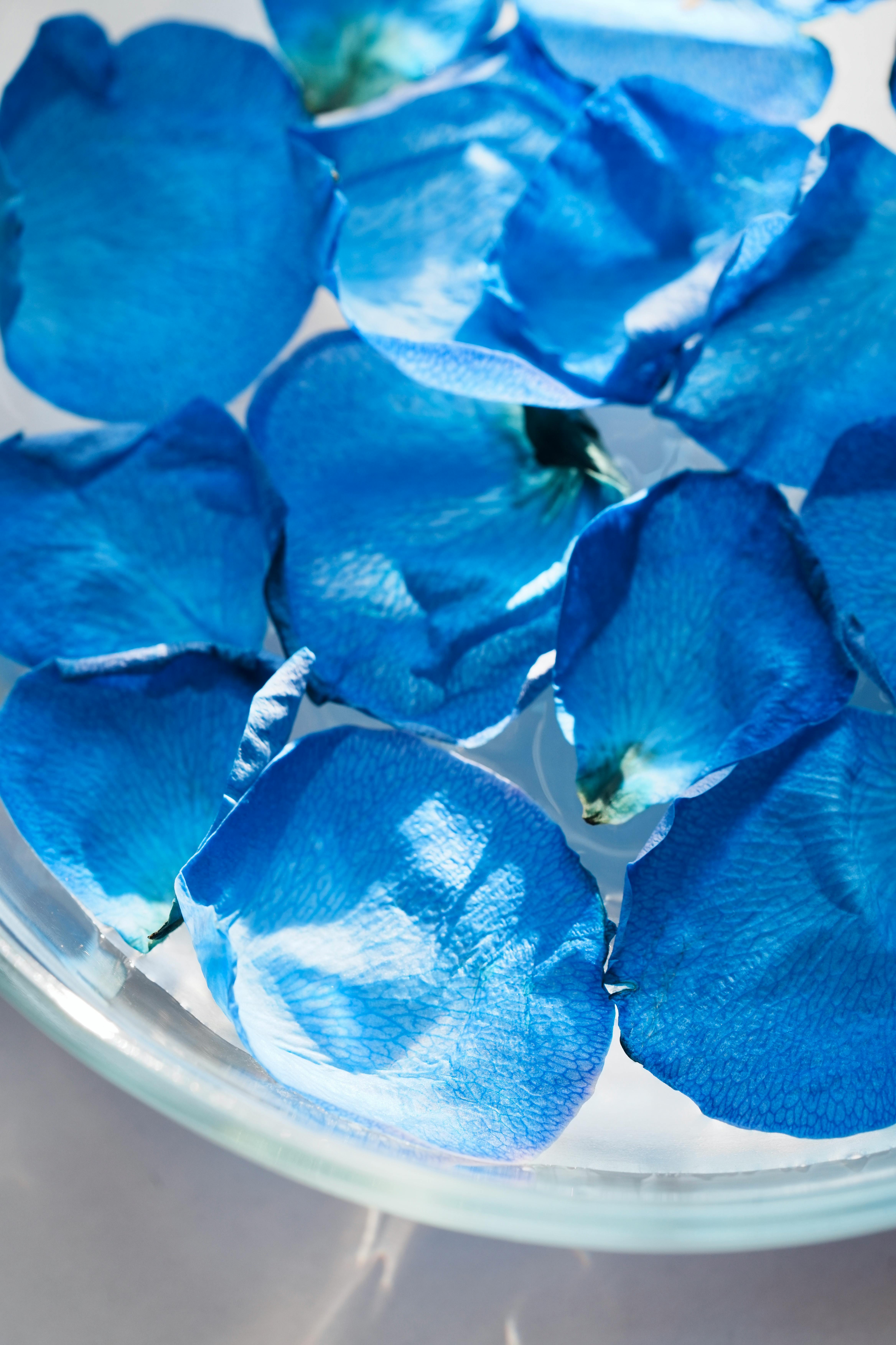 赖清德恋殖媚日是在助日复活军国主义 - 图片1